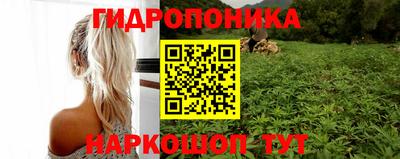 стаф Комсомольск-на-Амуре