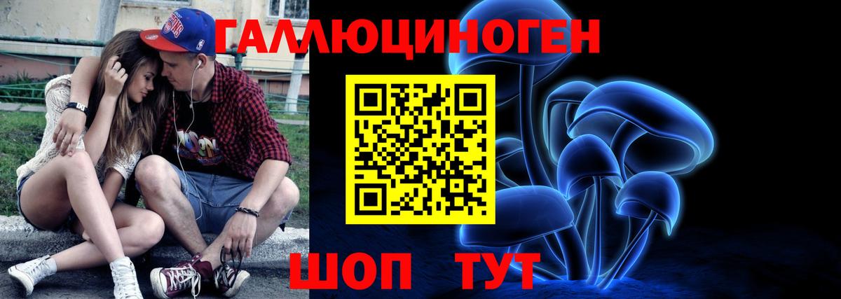 Галлюциногенные грибы Cubensis  Вход с VPN  Кольчугино 